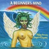 Cover art for A Beginner's Mind by Sufjan Stevens