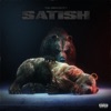 Cover art for Satish - Single by Tee Grizzley