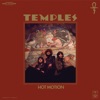 Cover art for Hot Motion by Temples