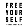 Cover art for Free Yourself (Paranoid London Remix) - Single by The Chemical Brothers