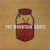 Cover art for Jam Eater Blues - Single by the Mountain Goats