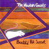 Cover art for Beautiful Rat Sunset - EP by the Mountain Goats