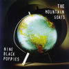 Cover art for Nine Black Poppies by the Mountain Goats