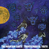 Cover art for Transcendental Youth by the Mountain Goats