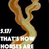 Cover art for 5.17 / That's How Horses Are - Single by Thom Yorke