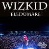 Cover art for Eledumare - Single by Wizkid