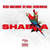 Cover art for Shabba (feat. Trey Songs, Chris Brown & French Montanna) - Single by Wizkid