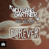 Cover art for Forever (feat. will.i.am) [Remixes] by Wolfgang Gartner