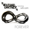 Cover art for Forever (feat. will.i.am) - Single by Wolfgang Gartner