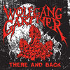 Cover art for There and Back - Single by Wolfgang Gartner